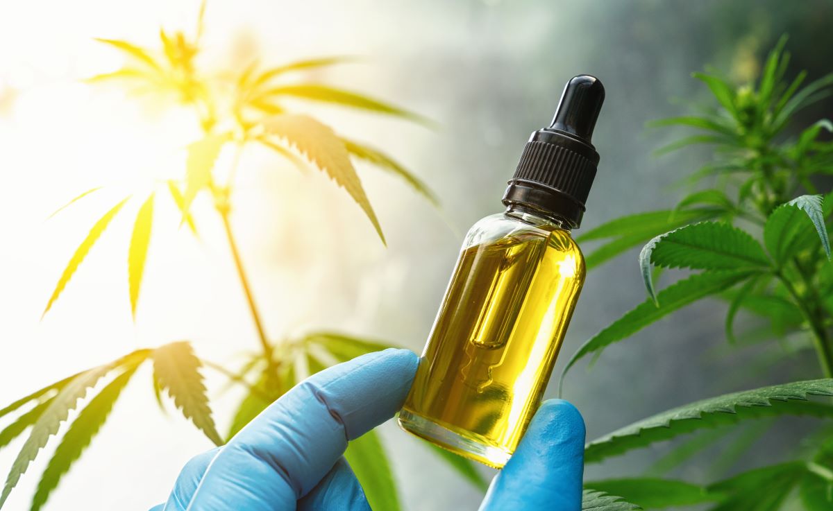 Should You Buy Organic CBD Oil for Improving Your Health?