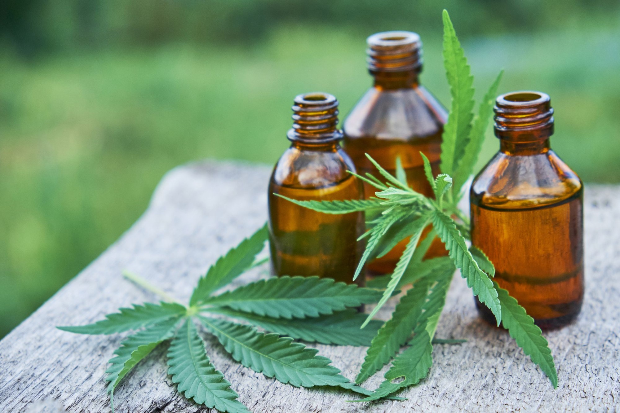Things to Consider for Carefully Buying CBD Oil Online